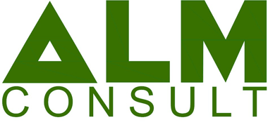 ALM Consult Limited